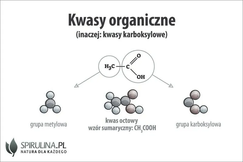Alternatywy dla cytrynianu sodu w kuchni: czym go zastąpić?