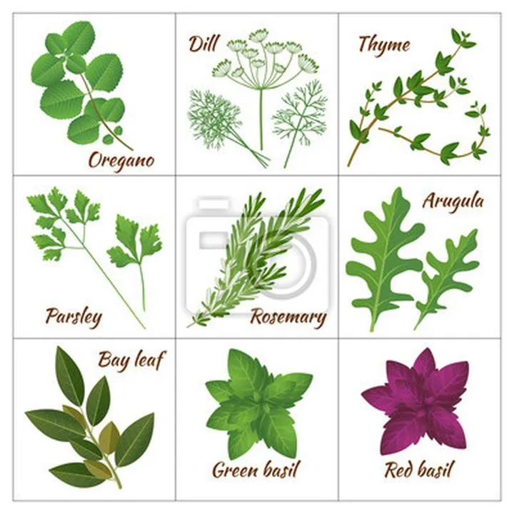 Alternatywy dla soli koszernej – czym zastąpić ten wyjątkowy składnik w kuchni?