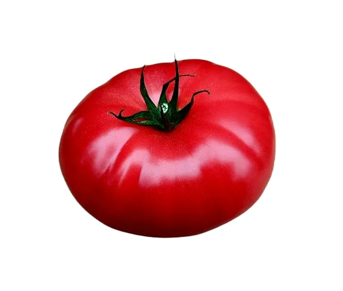 Czym zastąpić pomidory z puszki w łatwych przepisach domowych?