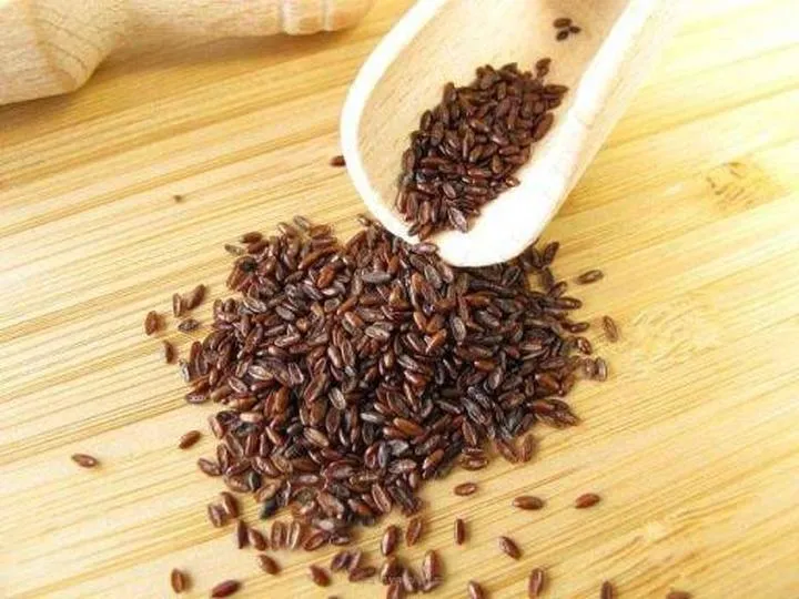 Jak zastąpić łuski babki płesznik w codziennej diecie?