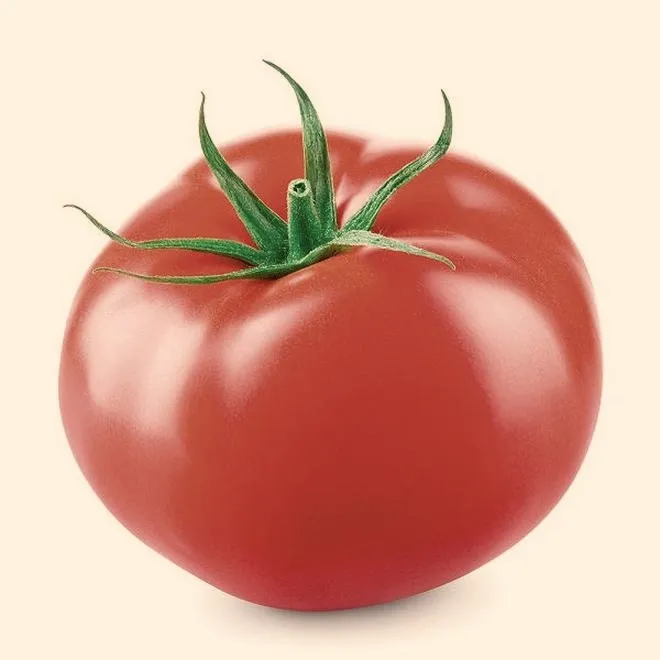 Kiedy najlepiej zacząć sadzić pomidory z nasion w domu?