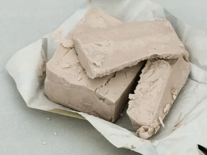 Kiedy warto zastosować oprysk z drożdży na pomidory? Sprawdź najlepsze terminy!