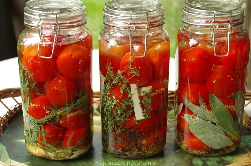 Odkryj niezwykły smak kiszonych pomidorów – przyjemność dla podniebienia