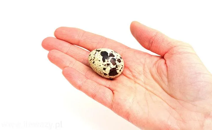 Odkryj sekrety – jak się gotuje jaja przepiórcze w łatwy sposób