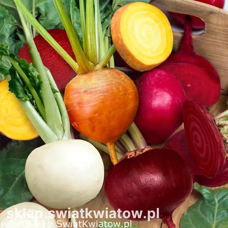 Optymalne temperatury pieczenia buraków ćwikłowych dla najlepszego smaku