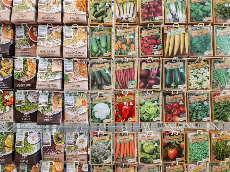 Skuteczne sposoby na długoterminowe przechowywanie nasion pomidorów