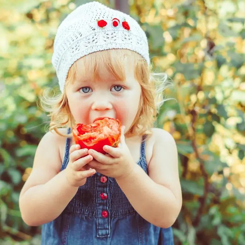 Bezpieczne wprowadzanie pomidora