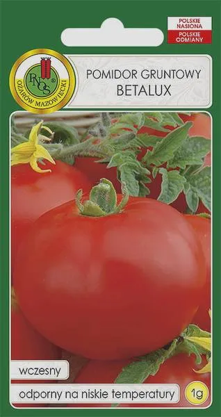 Cukier w pomidorach