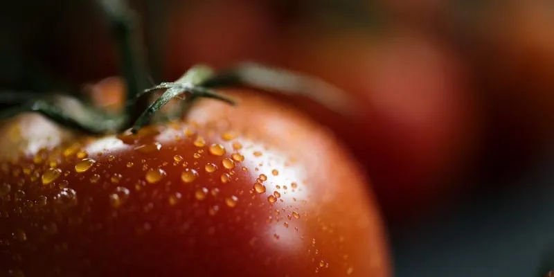 Domowe sposoby na plamy pomidorowe