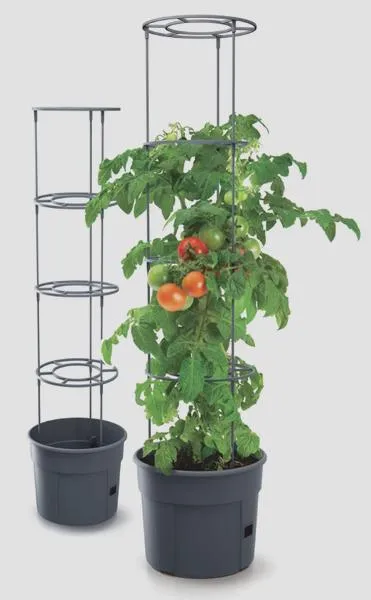 Donice do uprawy pomidorów