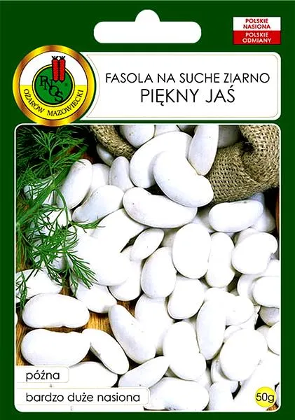 Jak namoczyć fasolę