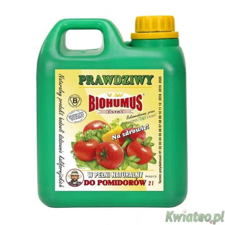 Nawożenie pomidorów w ogrodzie