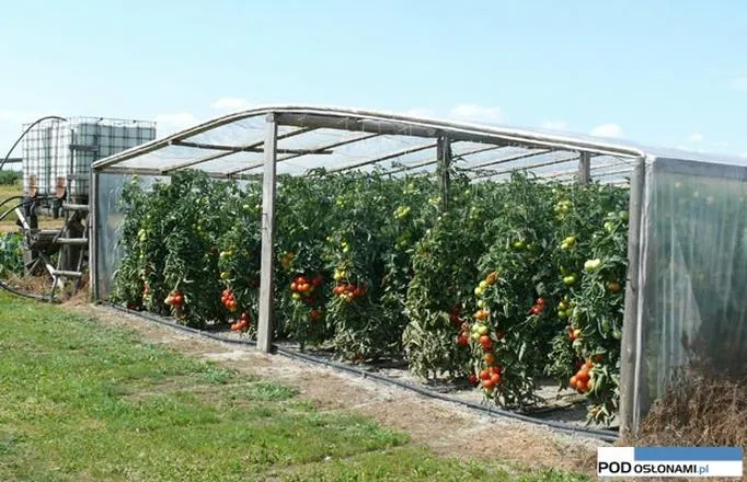 Nawozy organiczne i mineralne