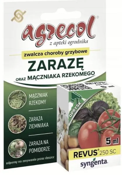 Oparzenia słoneczne pomidorów