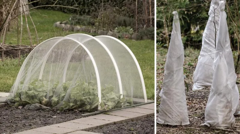 Osłony ochronne w ogrodzie