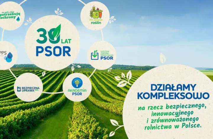 Partnerstwa roślinne dla pomidorów