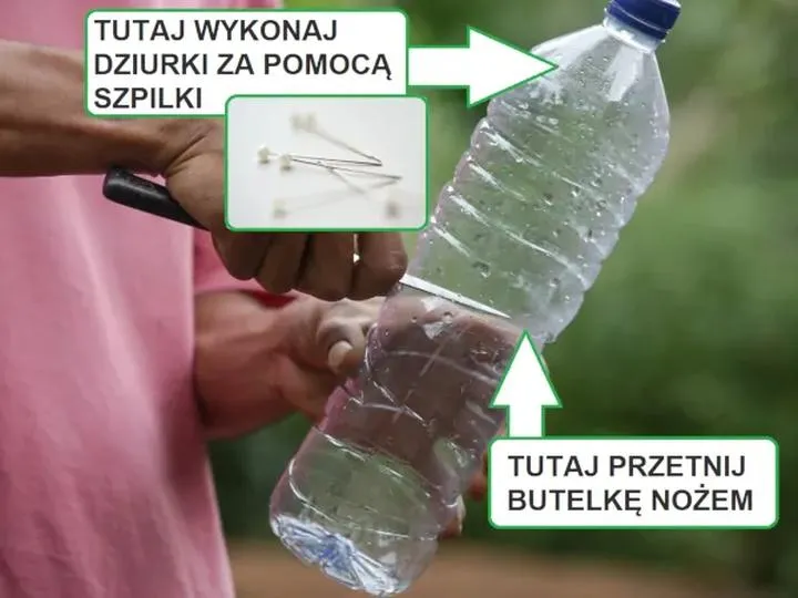 Podlewanie pomidorów w ogrodzie