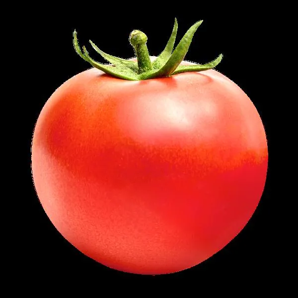 Pomidor w rosole
