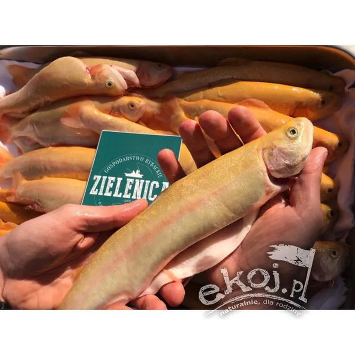 Przepisy na pstrąga