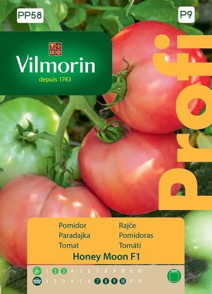 Samodzielna uprawa pomidorów