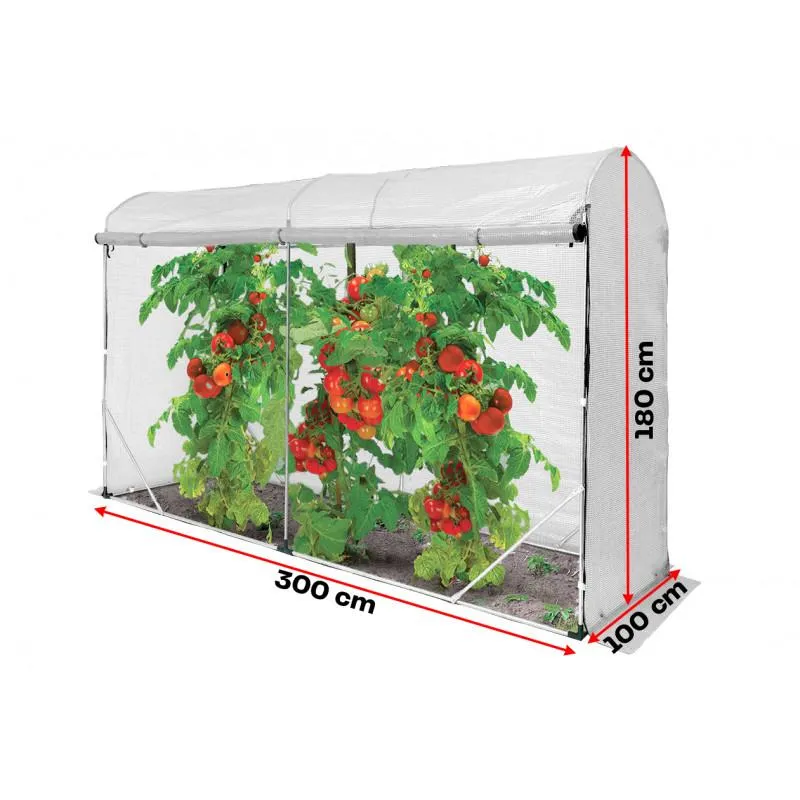 Warunki glebowe pomidorów