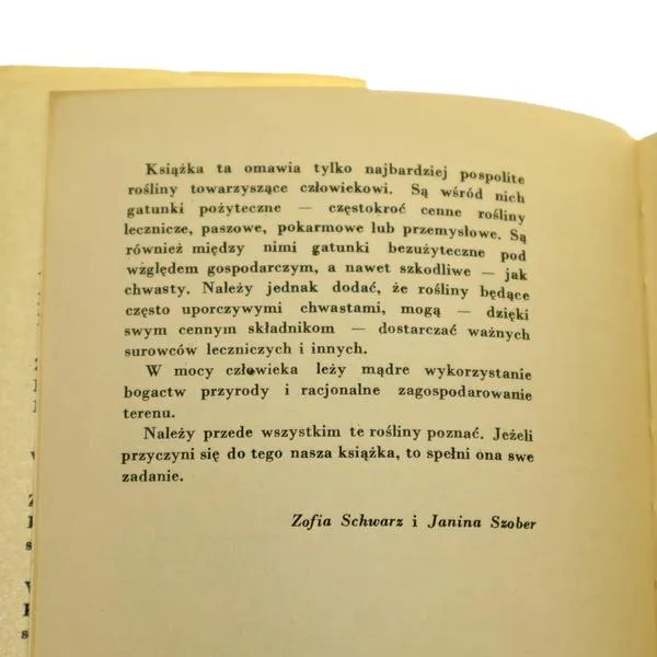 Warzywa sprzyjające pomidorom