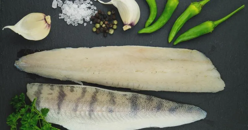 Właściwości zdrowotne sandacza