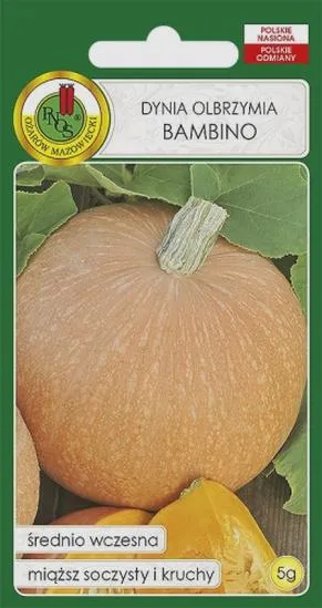 Zupa z dyni